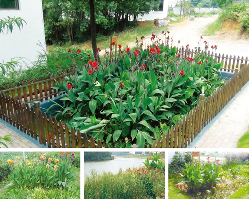 望城光明村污水处理项目 望城光明村污水处理项目