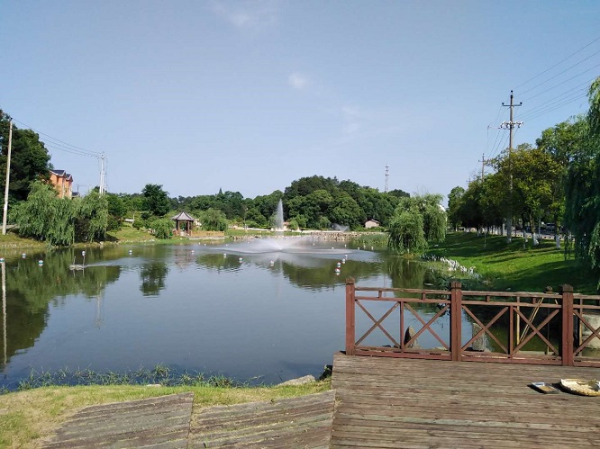 1666323795701178.jpg 9.jpg