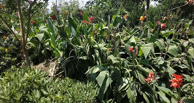 1668131476192525.jpg 2.jpg