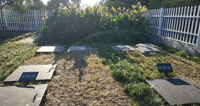 1668131513472071.jpg 5.jpg