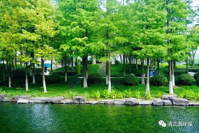 1668740037993605.jpg 66.jpg