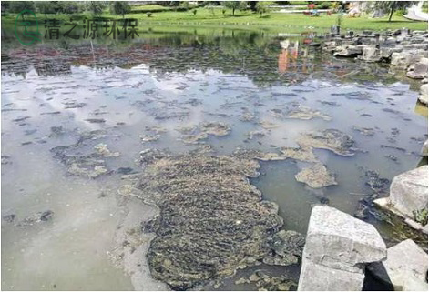 污水P站APP下载安装需要经常测量和监测哪些水污染指标