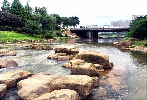 活性污泥法处理污水的工作原理，以及受哪些因素影响