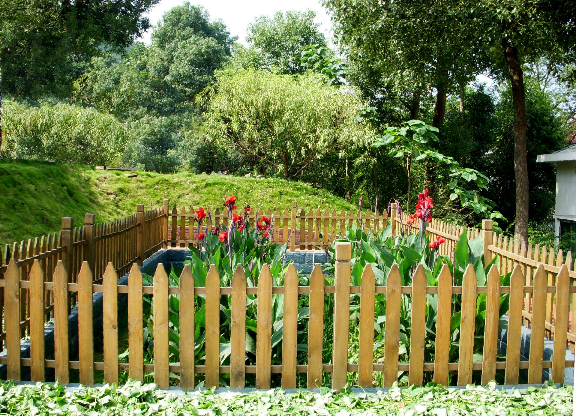 1704246925278857.jpg 望城.jpg