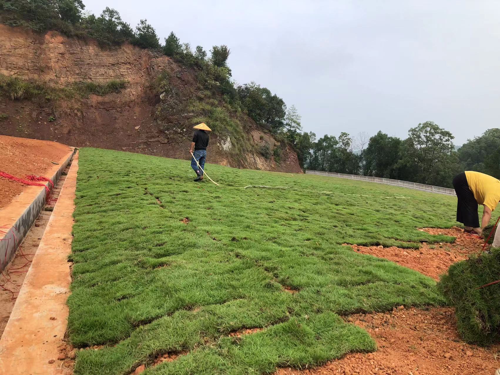 1706235725396942.jpg 微信图片_20231107141146.jpg