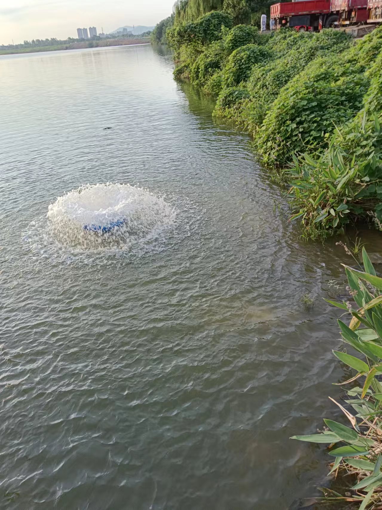 1721979614511179.jpg 1721979614511179.jpg