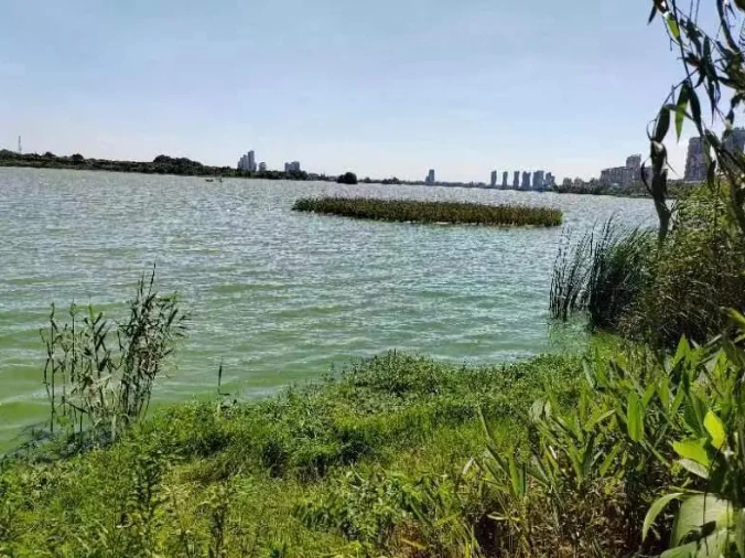 1721979970157781.png 微信截图_20240726154432.png