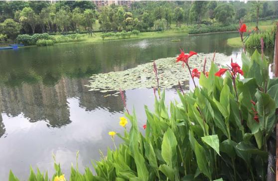 农村生活污水P站APP下载安装找哪家公司好？