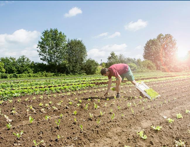 医疗废水处理方案设计哪家好？