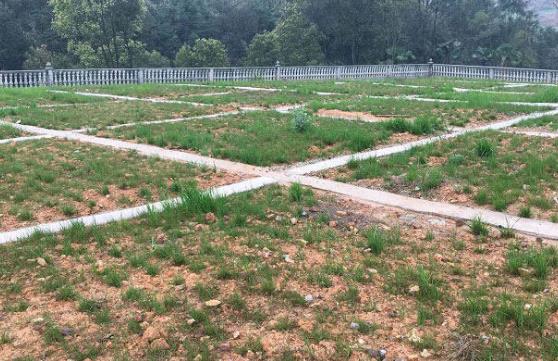 农村污水处理工艺有哪几种？