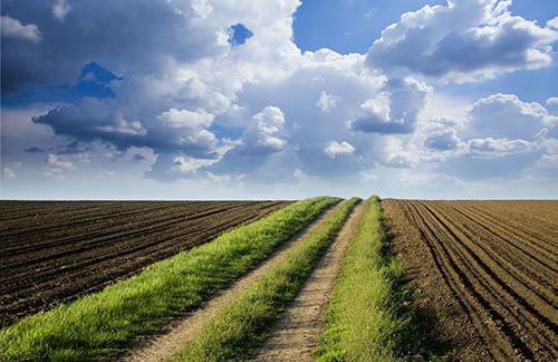 农村环境综合整治 农村环境综合整治