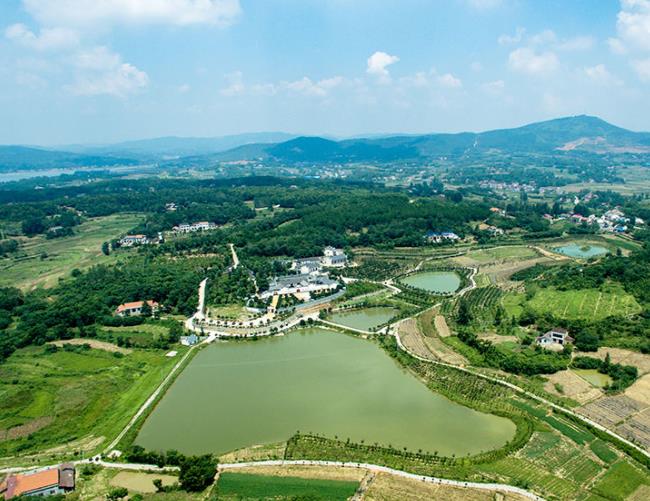 农村黑臭水体P站APP下载安装公司哪里的好？