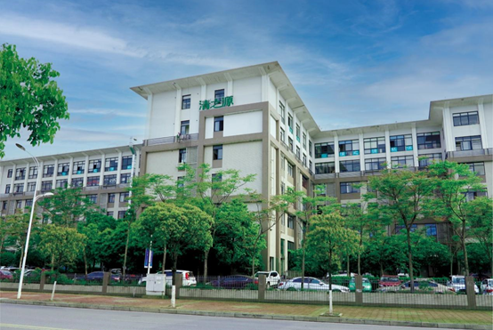 P站免费在线观看